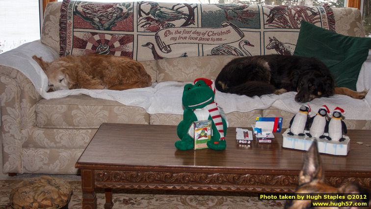 Brimley Christmas 2012