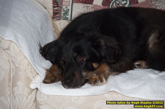 Brimley Christmas 2012