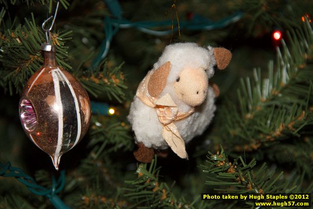 Brimley Christmas 2012