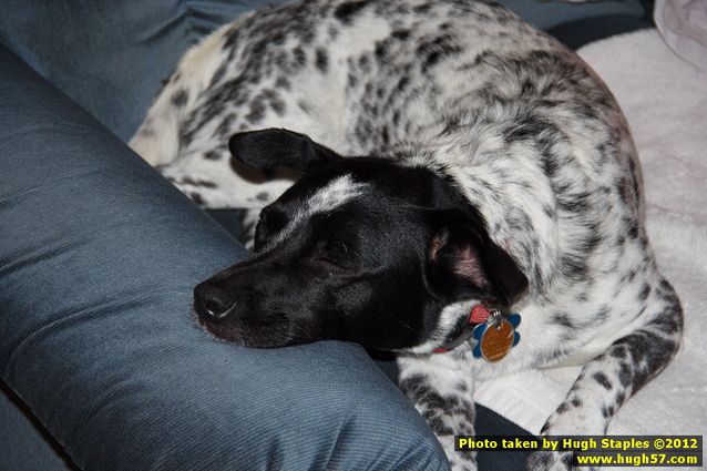 Brimley Christmas 2012