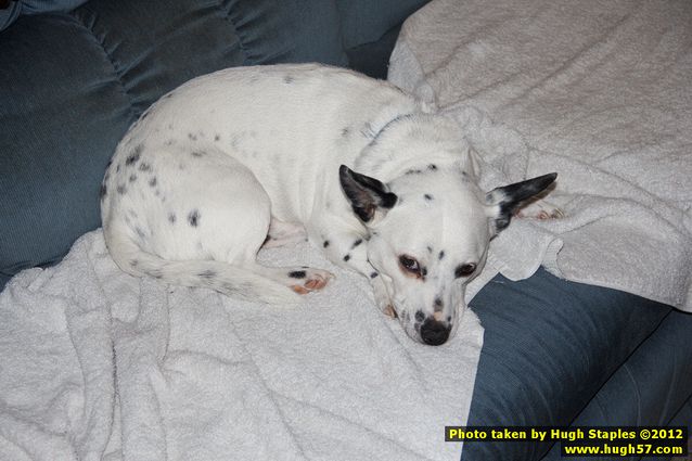 Brimley Christmas 2012