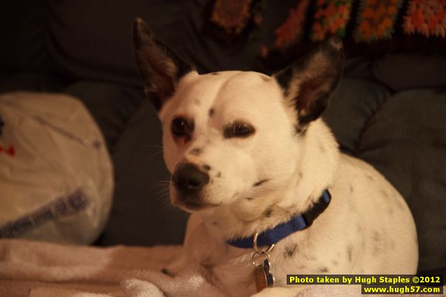 Brimley Christmas 2012