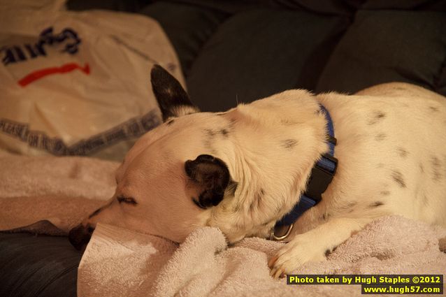 Brimley Christmas 2012