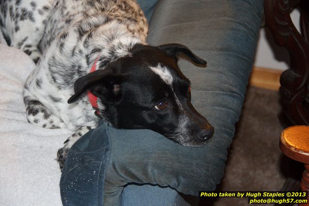 Brimley Christmas Eve 2013