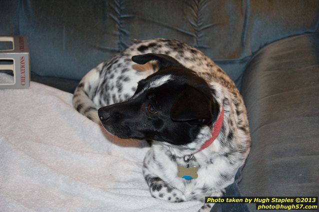 Brimley Christmas Eve 2013