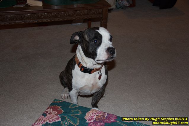 Brimley Christmas Eve 2013