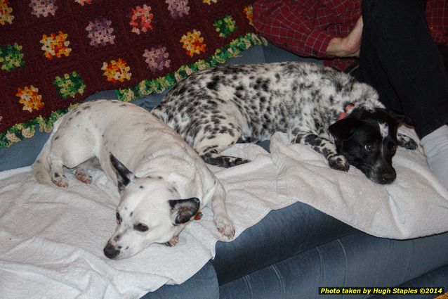 Christmas Eve in Brimley