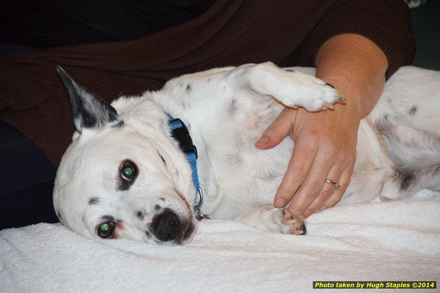 Christmas Eve in Brimley