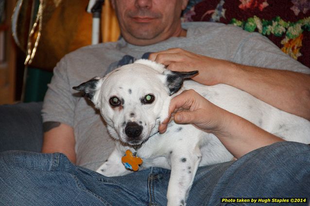 Christmas Eve in Brimley