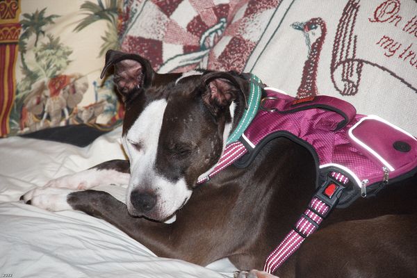 Christmas In Connecticut