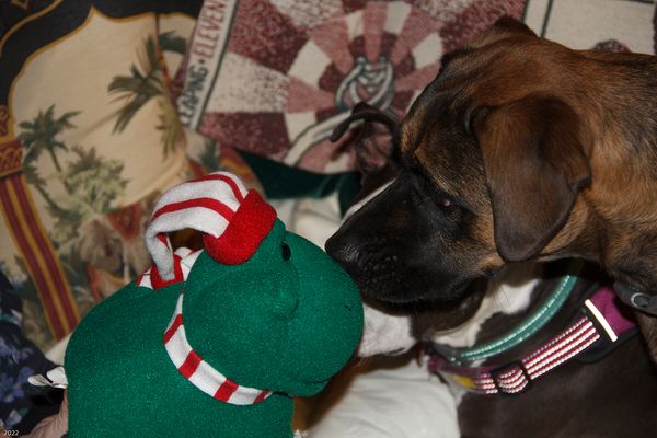 Christmas In Connecticut