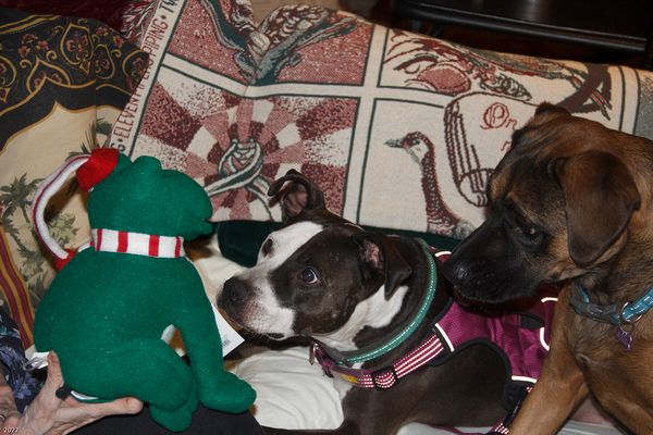 Christmas In Connecticut