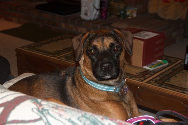 Christmas In Connecticut