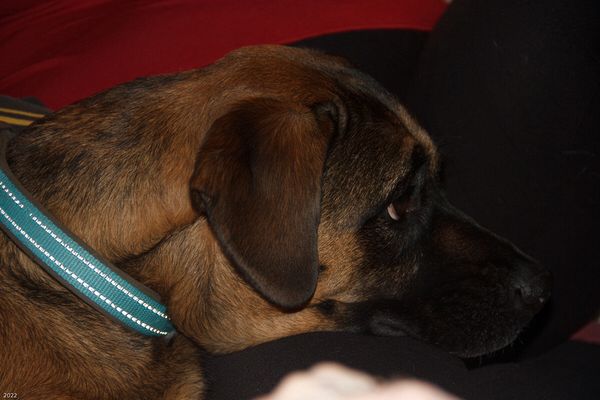 Christmas In Connecticut