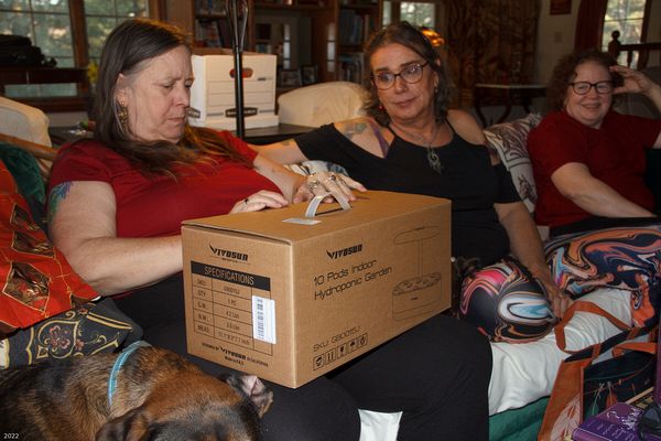 Christmas In Connecticut