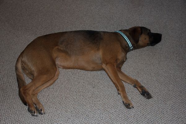 Christmas In Connecticut