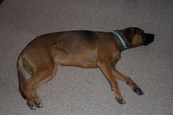 Christmas In Connecticut