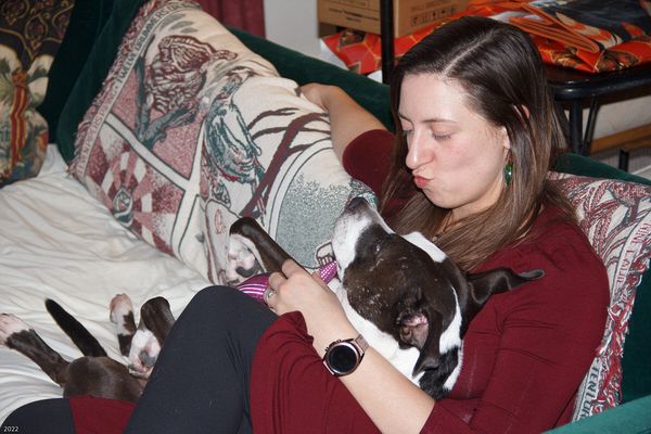 Christmas In Connecticut