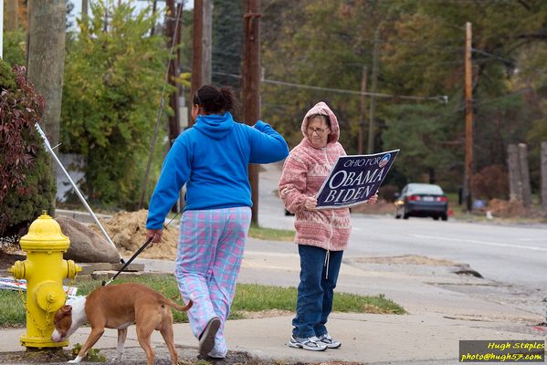 Honk & Wave for Obama/Biden