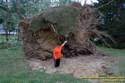 Fleming Road Storm damage from Tropical Depression Ike