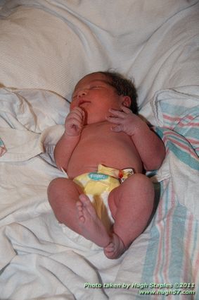 Harmony Kara Jeffries\n\nBorn May 4, 2011 10:06pm\n\n7lbs, 7oz; 20.5"