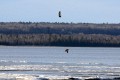 American Bald Eagles on Waiskai Bay