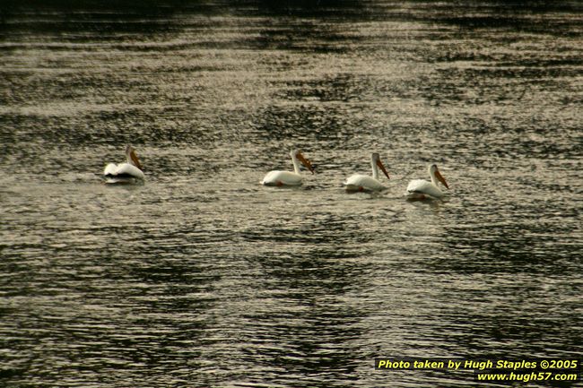 Yellowstone National Park - Sunday, June 26, 2005