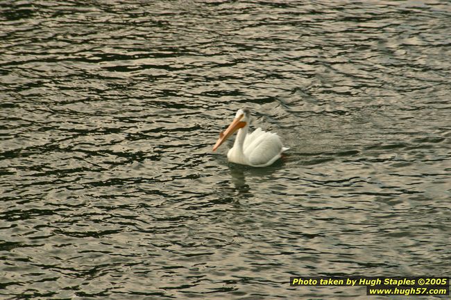 Yellowstone National Park - Sunday, June 26, 2005