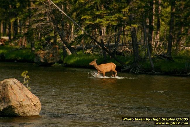 Yellowstone National Park - Sunday, June 26, 2005