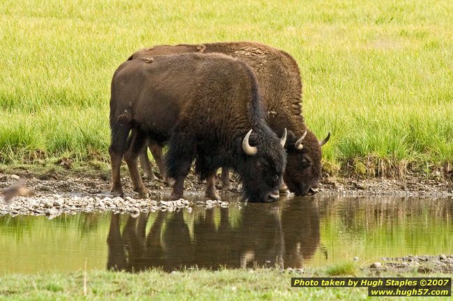 2007 Vacation in Montana/Wyoming