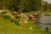 Yellowstone National Park - Sunday, June 26, 2005