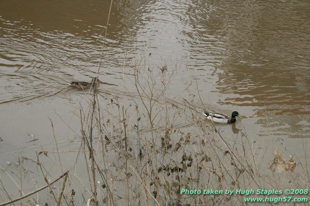 2008 Blue Chip Awards from aboard the Belle of Cincinnati