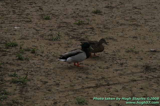 2008 Blue Chip Awards from aboard the Belle of Cincinnati