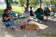 Waycross Community Media celebrates its volunteers at Colerain Park