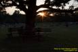 The Jason Owens Band performs on a beautiful July night at Greenhills Concert on the Commons