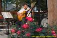 Fourth time's a charm! After three postponements due to weather, Slick Willie and the Kentucky Jellies finally get to perform their brand of rockabilly music at Greenhills Summer Concerts on the Commons