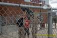 Waycross covers Colerain vs Lakota East Football on a very plesant October evening