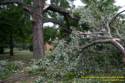 Fleming Road Storm damage to Marge Sowell's house from Tropical Depression Ike