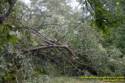 Fleming Road Storm damage to Marge Sowell's house from Tropical Depression Ike