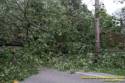 Fleming Road Storm damage to Marge Sowell's house from Tropical Depression Ike