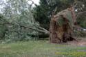 Fleming Road Storm damage to Marge Sowell's house from Tropical Depression Ike