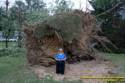 Fleming Road Storm damage to Marge Sowell's house from Tropical Depression Ike