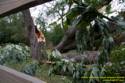 Fleming Road Storm damage to Marge Sowell's house from Tropical Depression Ike