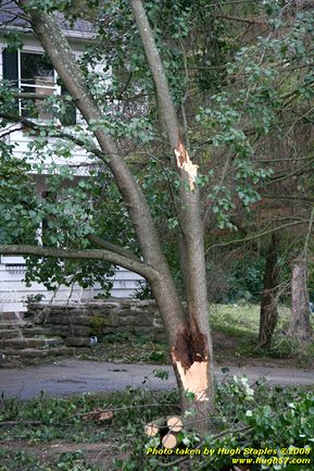 In front of Reisen's (Old Shardelow) house