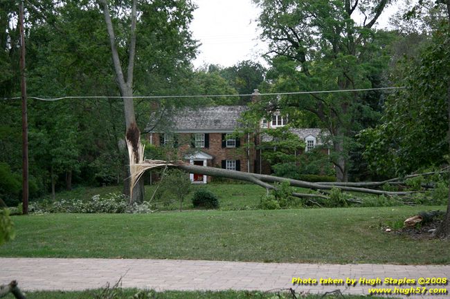Up the street from Robyn Carey Allgeyer's house