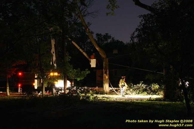 Tree cleanup in front of my house � 4� days later