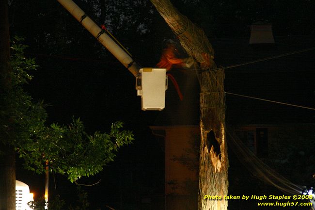 Tree cleanup in front of my house � 4� days later