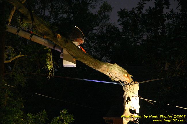 Tree cleanup in front of my house � 4� days later