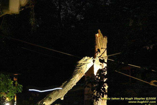 Tree cleanup in front of my house � 4� days later