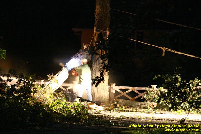 Tree cleanup in front of my house � 4� days later